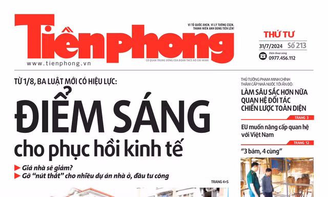 Tiền Phong số 213/2024