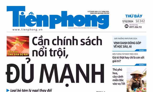 Tiền Phong số 342/2024