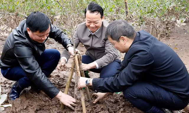 Bộ trưởng lội bùn trồng rừng ngập mặn