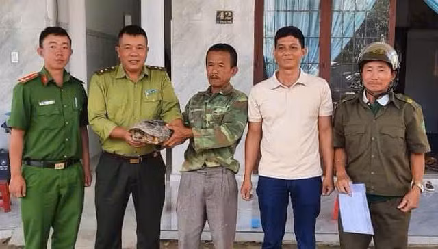 Một người dân phát hiện cá thể rùa răng quý hiếm 5 kg