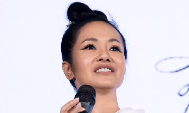 Diva Hồng Nhung: 'Tôi không còn là ca sĩ nữa'