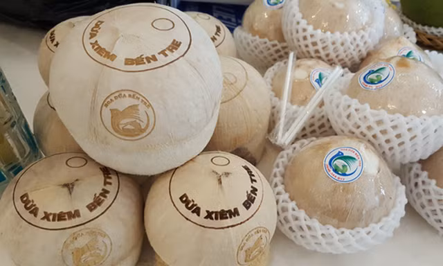 Dừa uống nước xiêm xanh.