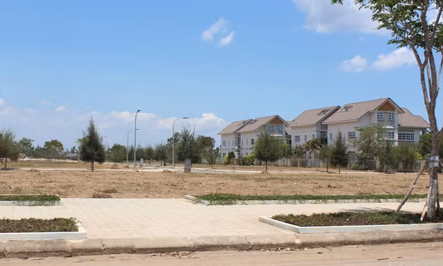 Đất nền tại khu ven Sài Gòn chủ yếu được nhà đầu tư mua đi bán lại.