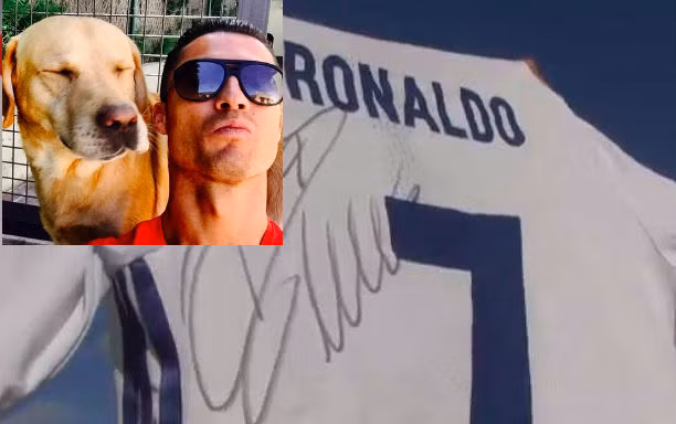 Cristiano Ronaldo rất yêu thương động vật.