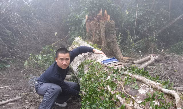 Rừng đầu nguồn biên giới Việt - Lào bị tàn phá