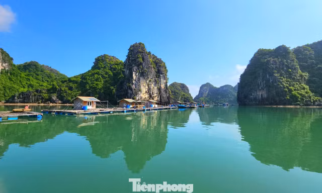 Phê duyệt nhiệm vụ lập quy hoạch bảo tồn, phát huy giá trị vịnh Hạ Long