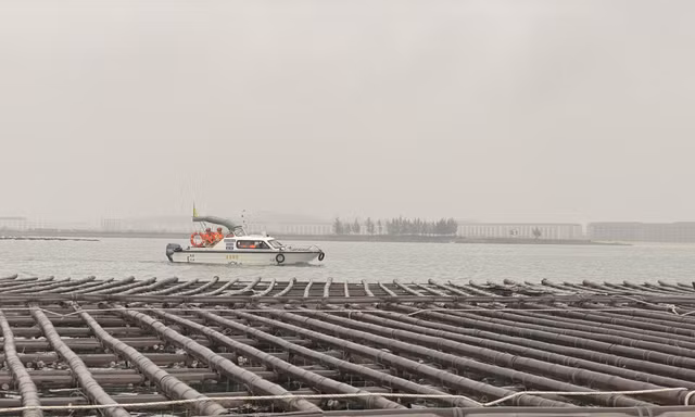 Hạ Long: Họp khẩn cưỡng chế gần 100 bè nuôi hàu trái phép