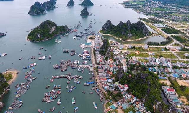 Hàng chục cán bộ ở huyện Vân Đồn xin nghỉ hưu sớm