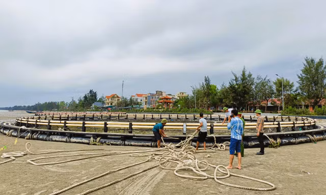 Lựa thủy triều để bàn giao lồng bè cho phía Trung Quốc bị bão Yagi đánh bay