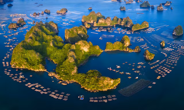 Quảng Ninh xây dựng cơ chế đặc thù cho Vân Đồn