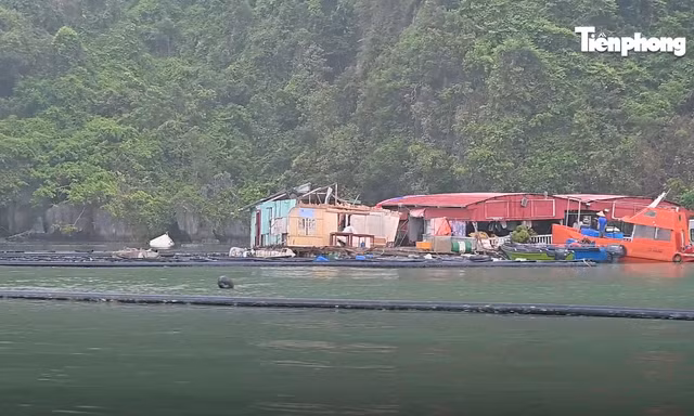 Ngư dân Vân Đồn: 'Ngã ở đâu đứng dậy ở đấy'