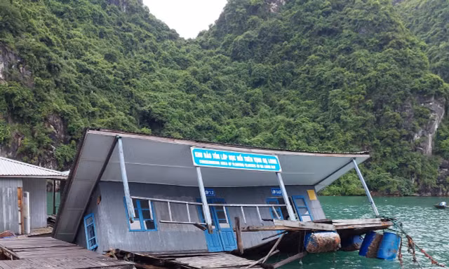 Vụ nhà bảo tồn bị chìm: Ban Quản lý vịnh Hạ Long nói gì?