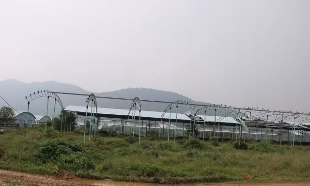 Dự án nuôi bò Bình Hà liên quan cha con ông Trần Bắc Hà còn lại gì?
