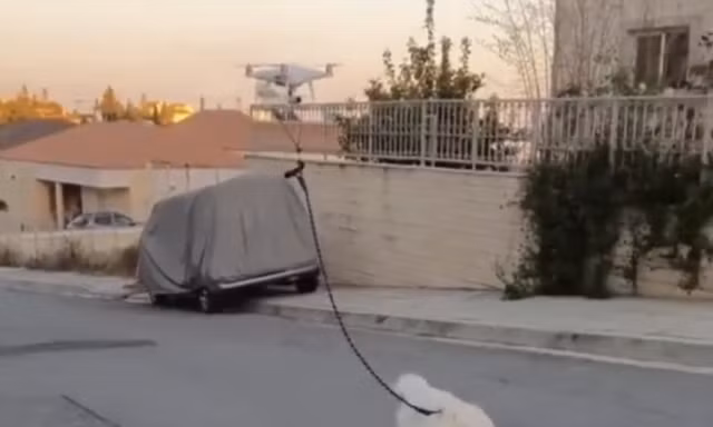 Khi “cách ly toàn xã hội” và bạn không thể tham gia các hoạt động đông người....