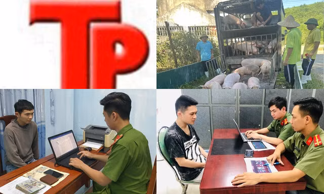 Bản tin Hình sự: Nhiều người ‘sập bẫy’ lừa đi lao động, định cư ở Mỹ