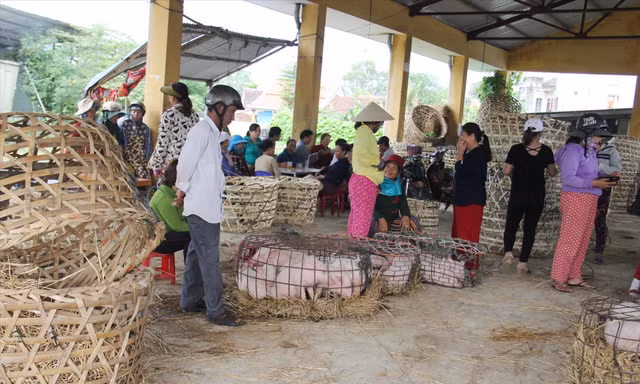 Chưa bao giờ, người ngồi không lại nhiều hơn người mua bán và bồng heo trong chợ Bà Rén như những ngày “bão” dịch này Ảnh: Thanh Trần