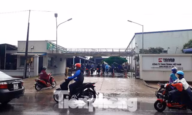 Cty Tenma Việt NamẢNH: Nguyễn Thắng