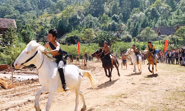 Đua ngựa không yên trên cao nguyên