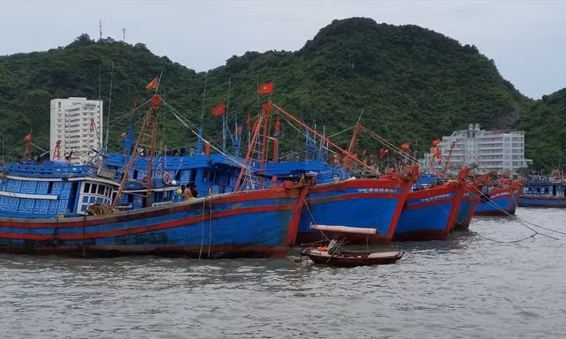 Trong khi chờ đàm phán Hiệp định mới, ngư dân không sang vùng biển phía Đông đường phân định vịnh Bắc Bộ để khai thác hải sản Ảnh: Bình Phương