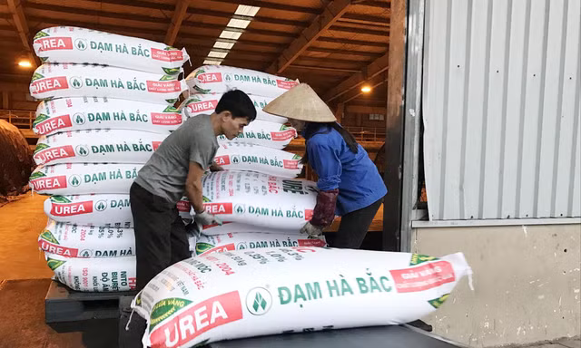 Nhiều doanh nghiệp sản xuất phân bón trong nước điêu đứng vì phân bón giả, nhái và phân bón nhập khẩu từ các nướcẢnh: Thục Quyên