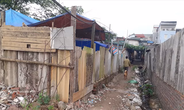 Xóm ngụ cư dưới chân cầu Long Biên     Ảnh: PV