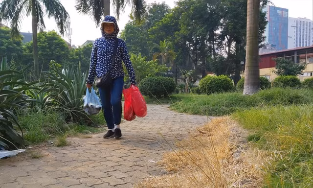 Cây dại, cỏ dọc các tuyến đường dạo tại Công viên 1/6 héo vàng rồi chết