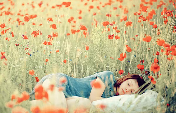 Những bức ảnh đầy chất thơ về phụ nữ