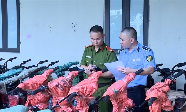 Phát hiện kho xe đạp điện không rõ nguồn gốc xuất xứ