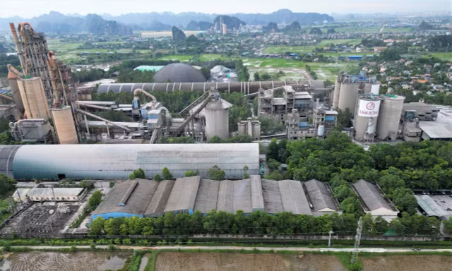 Ninh Bình 'cắt' 38ha rừng tự nhiên cho Nhà máy xi măng Duyên Hà 