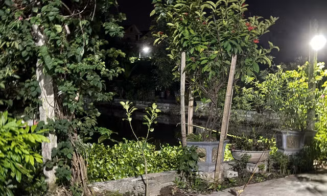 Ba cháu nhỏ trong một gia đình chết đuối dưới ao nhà hàng xóm