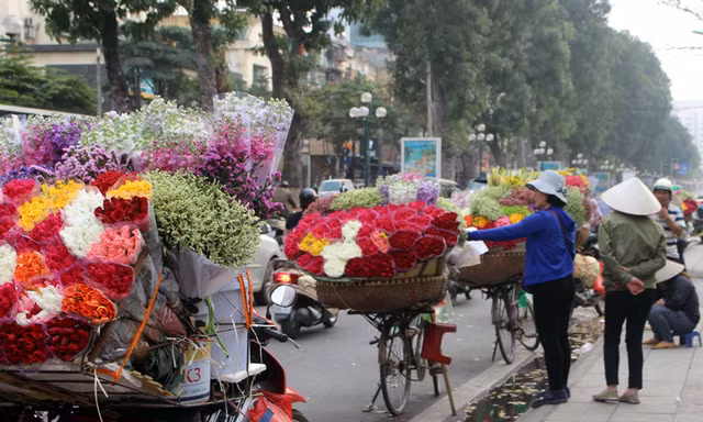 Đại gia đình 8 người bỏ quê ở Bắc Giang. Họ đang đỗ xe chờ khách tới mua.