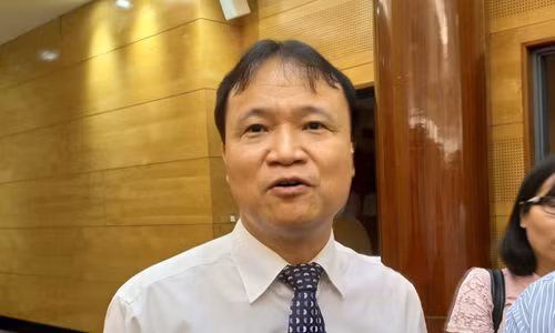 Thứ trưởng Bộ Công Thương Đỗ Thắng Hải