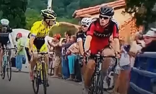 Rovny đấm Brambilla trên đường đua. Ảnh chụp màn hình.