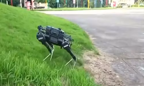 Chó robot Trung Quốc giá 30.000 USD mỗi con