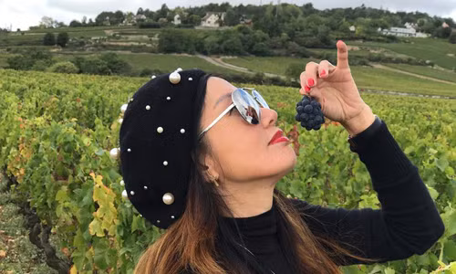 Champagne mùa Giáng sinh