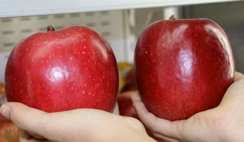 Táo Aomori tại siêu thị Nhật trên đường Lê Thánh Tôn (quận 1). Ảnh: Thi Hà.