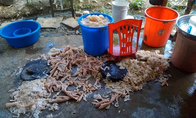 Theo nội dung chia sẻ thì tác giả vô tình bắt gặp cảnh tượng kinh hãi này sau khi anh và cơ quan đang đi nghỉ mát và dừng chân tại cửa hàng nem chua H.C (Thanh Hóa). 