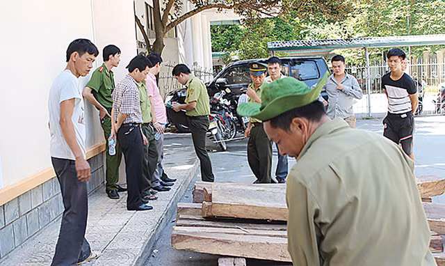Bắt giam trạm trưởng kiểm lâm nhận hối lộ 100 triệu đồng