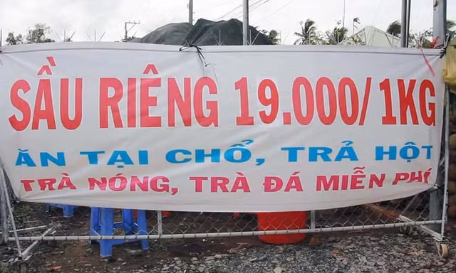 Sầu Riêng chỉ 19.000 đồng/kg nhưng chỉ ăn tại chỗ phải trả hạt