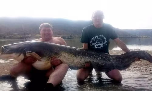 Con cá nặng 90kg và dài tới 2,4m.