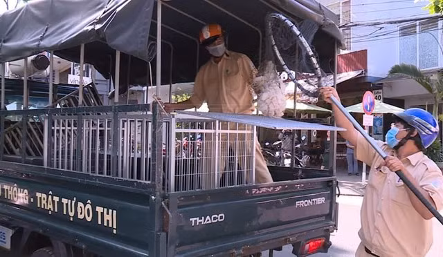 Bốn người trong nhà bị chó cắn, một bệnh nhi tử vong sau ba tháng