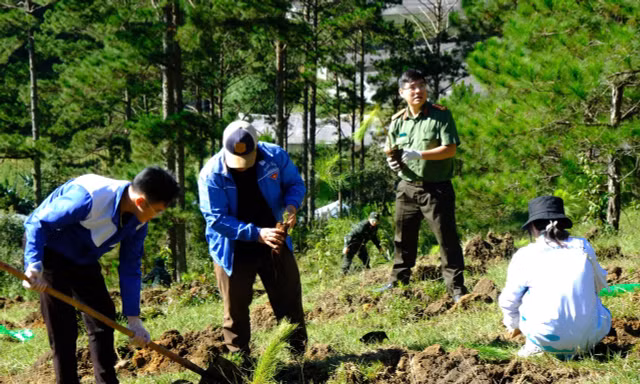 Tuổi trẻ Lâm Đồng phát động ra quân trồng cây gây rừng 