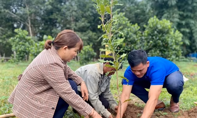 Kon Tum phủ xanh đồi núi trong chiến dịch Mùa hè xanh 2023 