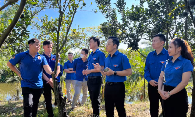 Nhiều mô hình khởi nghiệp của thanh niên Kon Tum thu trái ngọt