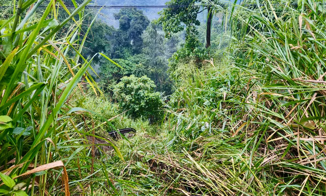 Ô tô rơi xuống vực sâu ở Lâm Đồng, 2 người thương vong