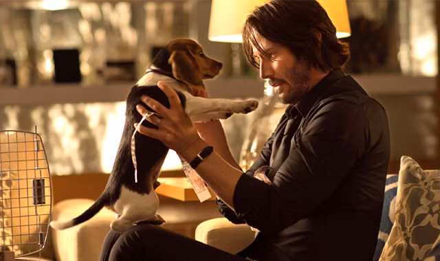 Phim mới của Keanu Reeves: Hành động trước, cảm xúc sau