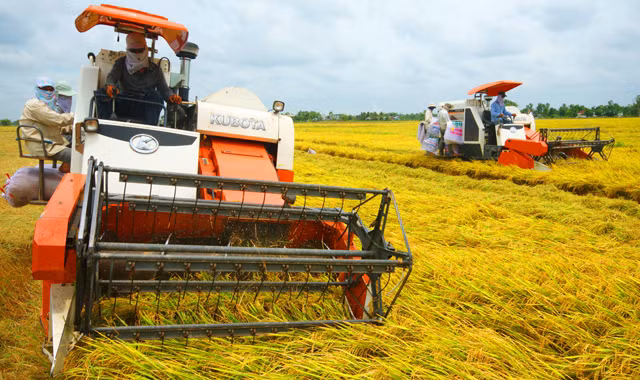 Nghịch lý tốn tỷ đô nhập máy nông nghiệp