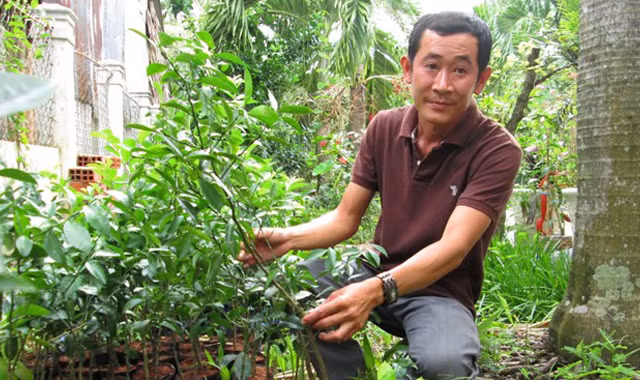 Mỗi năm trồng ổi, bán cây giống đem lại nguồn thu nhập khoảng tỷ đồng cho gia đình anh Khương