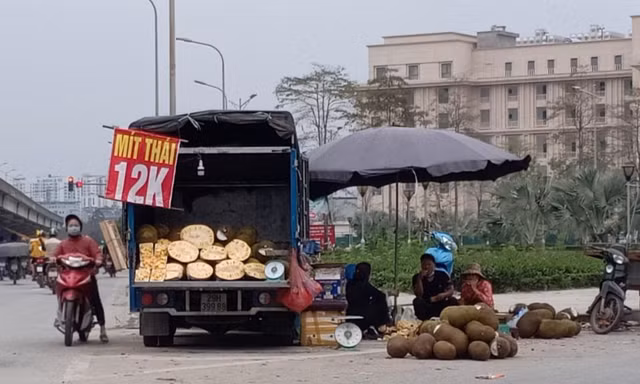 Nông sản xuất khẩu ách tắc, bày bán tràn ngập trên phố Hà Nội