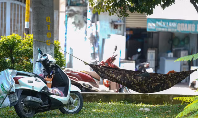 Người dân TPHCM mắc võng ở công viên tránh nóng